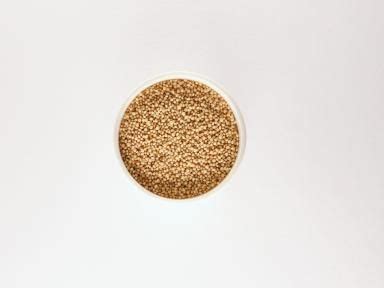 amuranth|Amaranth: So gesund ist das Power